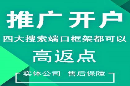 深入了解SEM竞价代运营公司：成功背后的故事